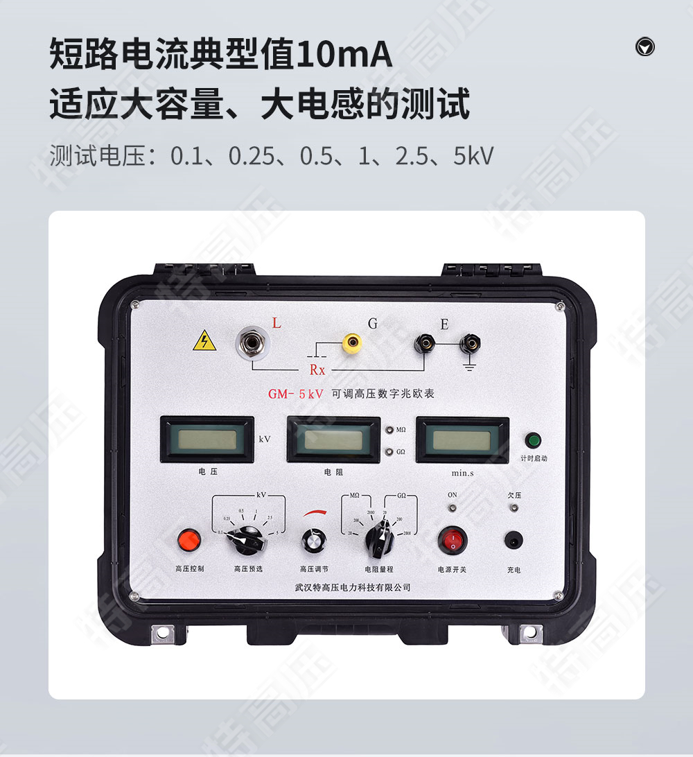 GM-5kV 可調高壓數字兆歐表(圖3)