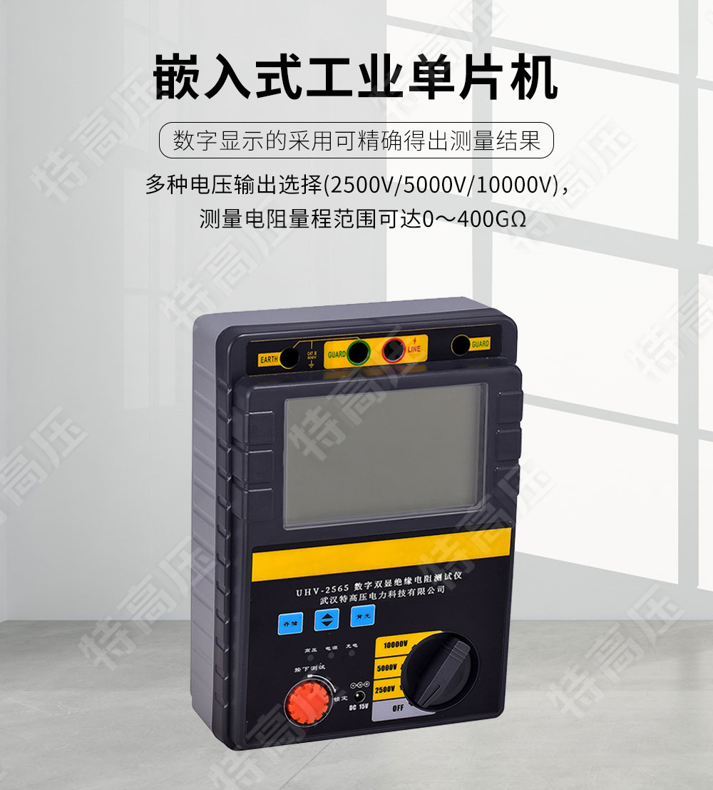 絕緣電阻檢測(cè)儀