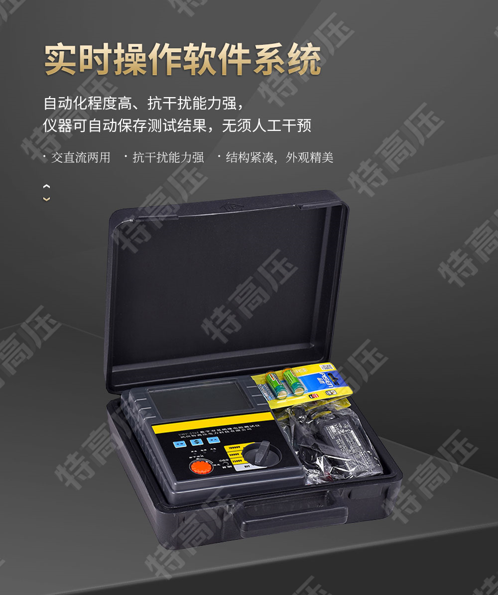 絕緣電阻檢測(cè)儀
